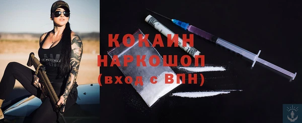 PSILOCYBIN Няндома
