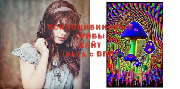 каннабис Курчалой
