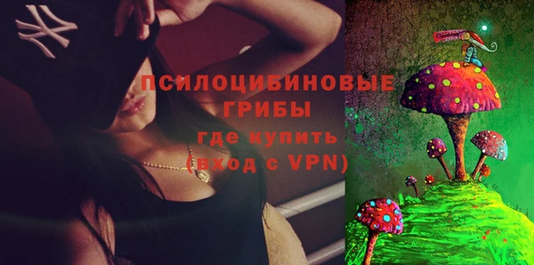 spice Осташков