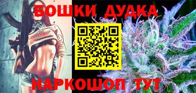 спайс Кингисепп
