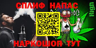 спайс Кингисепп