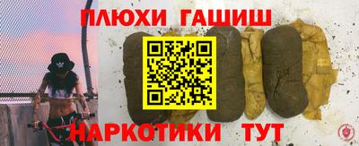 спайс Кингисепп