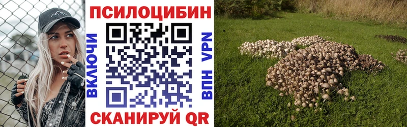 Псилоцибиновые грибы Psilocybine cubensis  blacksprut   Пыть-Ях 