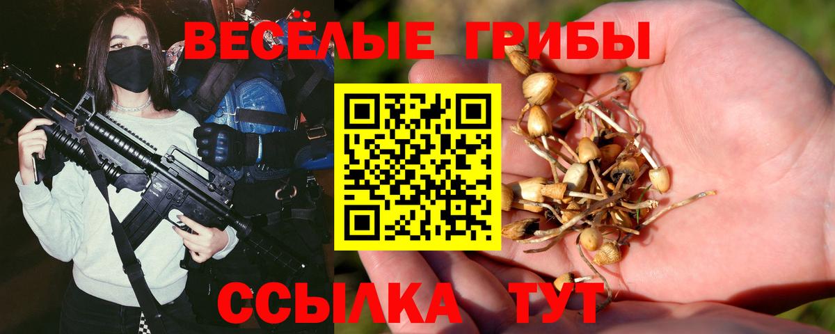 Галлюциногенные грибы прущие грибы Пыть-Ях