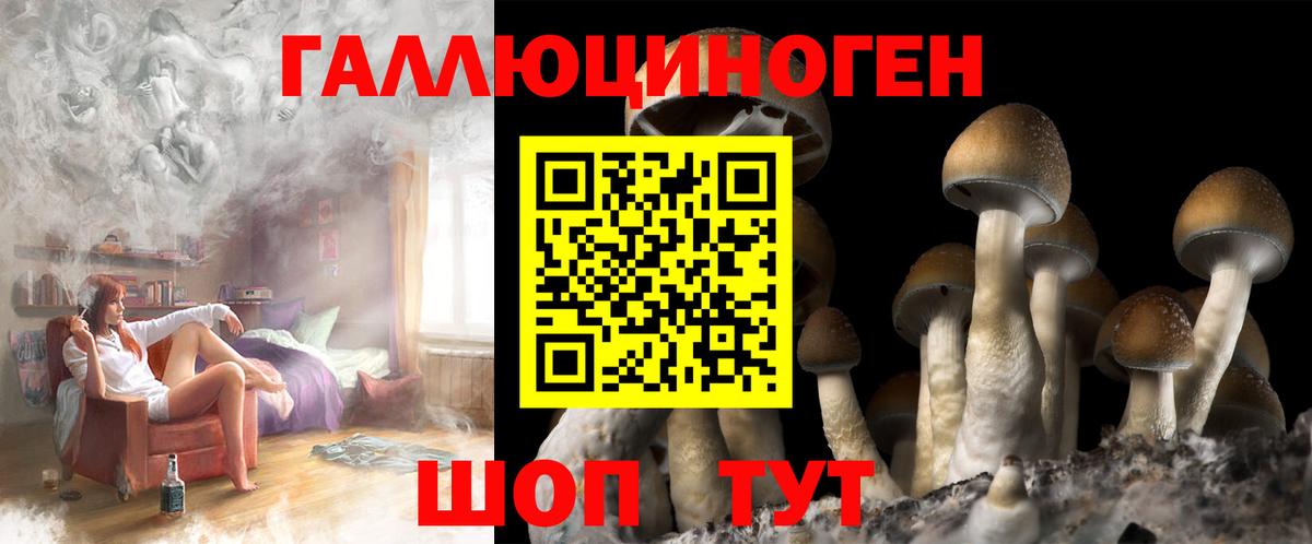 Галлюциногенные грибы Psilocybine cubensis  Галлюциногенные грибы GOLDEN TEACHER  Вход с VPN  Пыть-Ях 